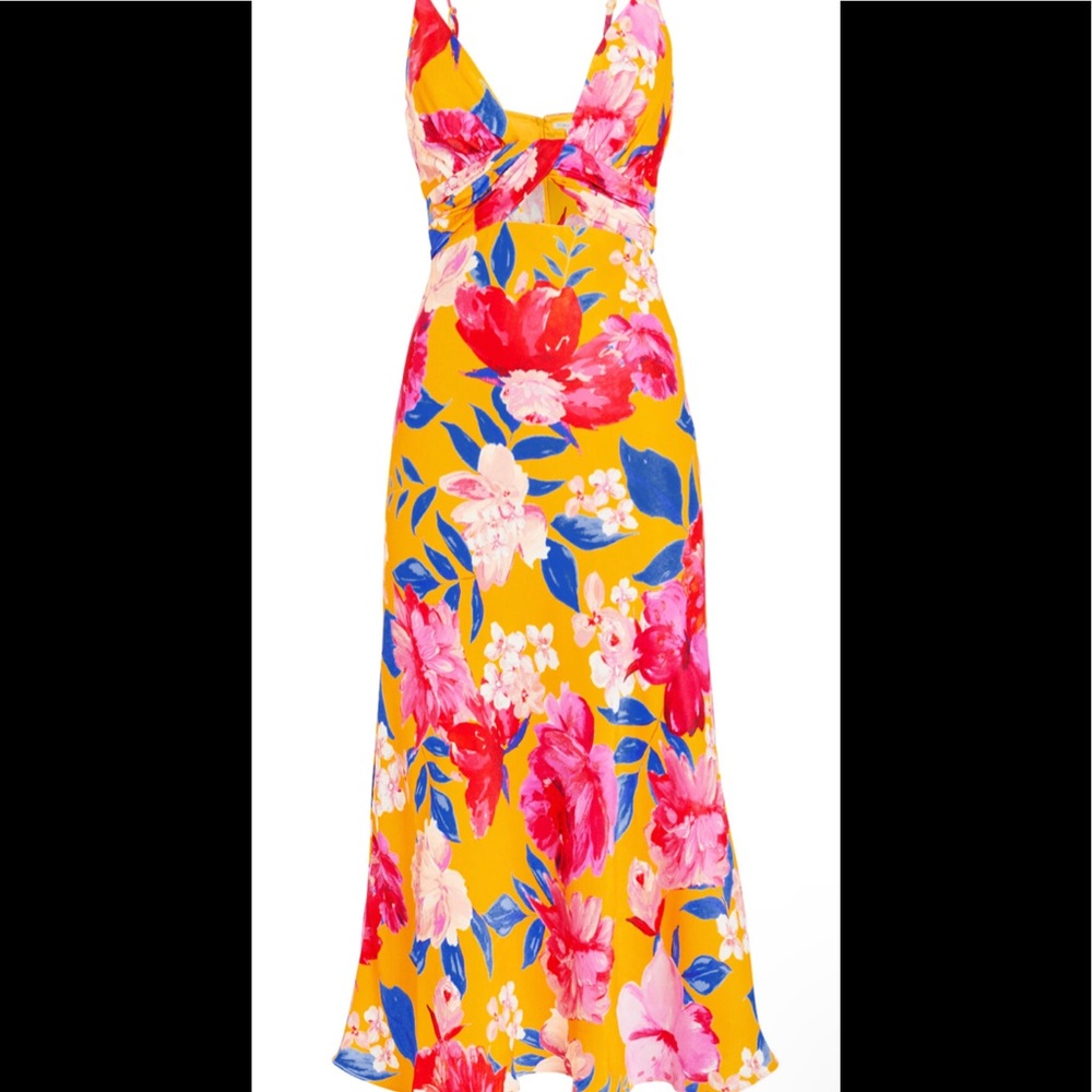 Ronny Kobo Collection- Anika Dress in Pineapple